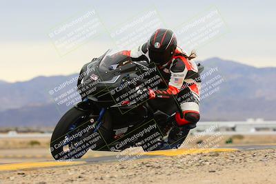 media/Jan-14-2023-SoCal Trackdays (Sat) [[497694156f]]/Turn 9 Inside (11am)/